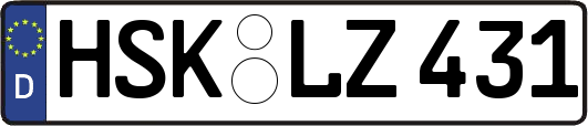 HSK-LZ431