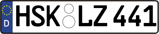 HSK-LZ441