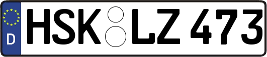 HSK-LZ473