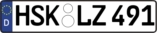 HSK-LZ491