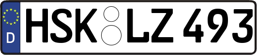 HSK-LZ493