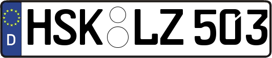 HSK-LZ503