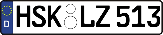 HSK-LZ513