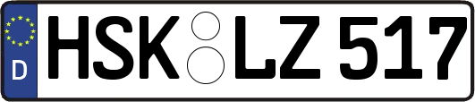 HSK-LZ517