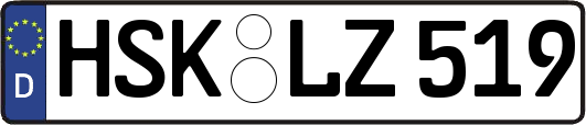 HSK-LZ519