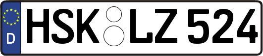 HSK-LZ524