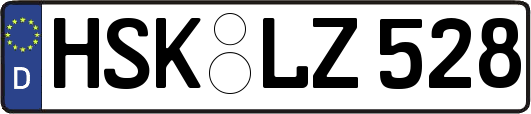 HSK-LZ528