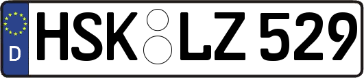 HSK-LZ529