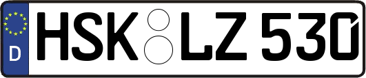 HSK-LZ530