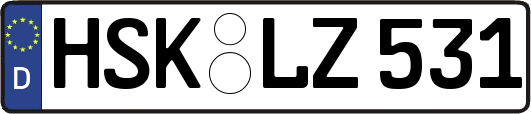 HSK-LZ531