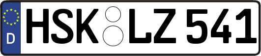 HSK-LZ541