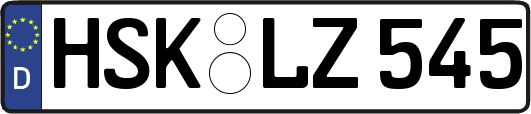 HSK-LZ545