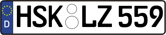 HSK-LZ559