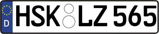 HSK-LZ565