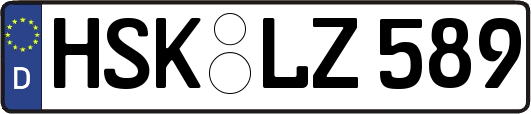 HSK-LZ589