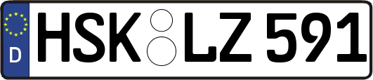 HSK-LZ591