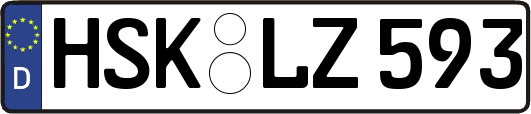 HSK-LZ593