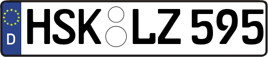 HSK-LZ595