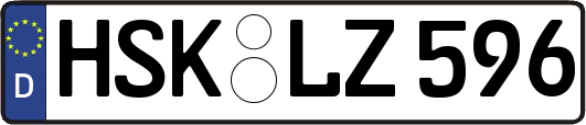HSK-LZ596