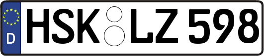 HSK-LZ598
