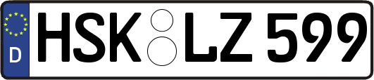 HSK-LZ599