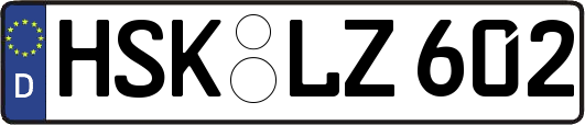 HSK-LZ602