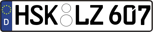 HSK-LZ607