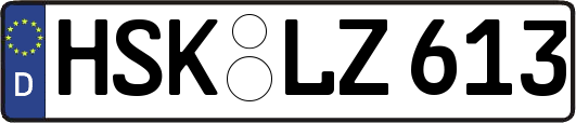 HSK-LZ613