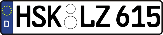 HSK-LZ615