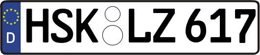 HSK-LZ617
