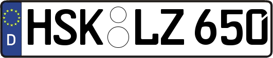 HSK-LZ650