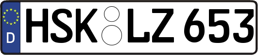 HSK-LZ653