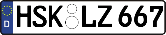 HSK-LZ667