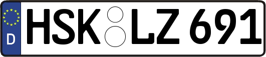 HSK-LZ691