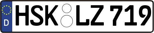 HSK-LZ719
