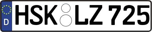 HSK-LZ725
