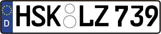 HSK-LZ739