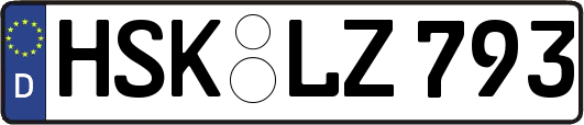 HSK-LZ793