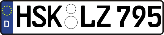 HSK-LZ795