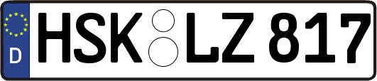 HSK-LZ817