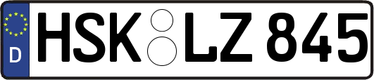 HSK-LZ845