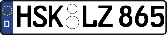 HSK-LZ865