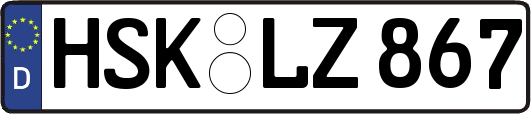 HSK-LZ867