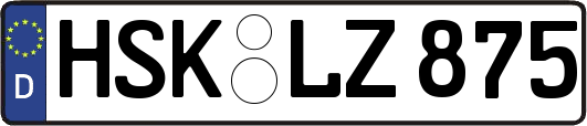 HSK-LZ875