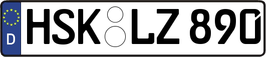 HSK-LZ890