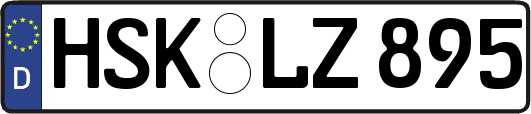 HSK-LZ895