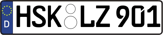 HSK-LZ901