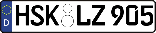 HSK-LZ905