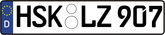 HSK-LZ907