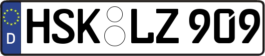 HSK-LZ909